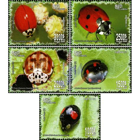 Insekten Marienkäfer Ii