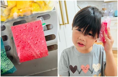 Clever Sponge Ice Pack Hack No Ice Pack No Problem