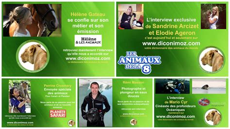 Les Interviews De Diconimoz Dictionnaire Des Animaux