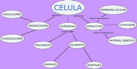 Mapa Mental Sobre Celula