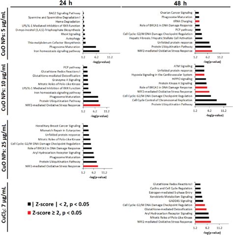 Top Most Significantly Perturbed Ipa Canonical Pathways In Relevant