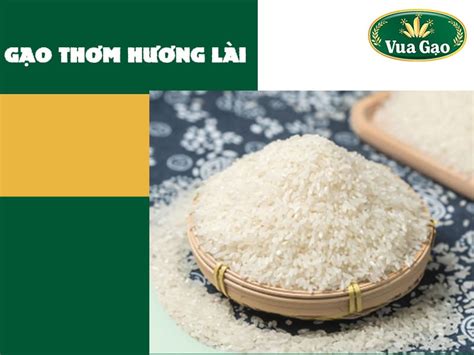 Gạo 225 Là Gạo Gì Giá Bao Nhiêu Tìm Nguồn Gạo Uy Tín