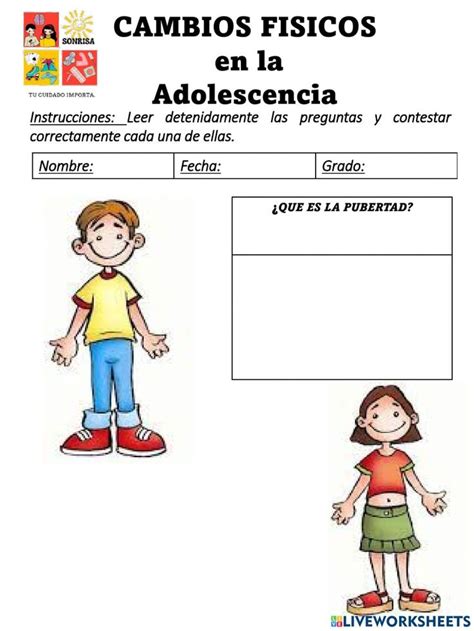 Cambios Fisicos En El Cuerpo Worksheet