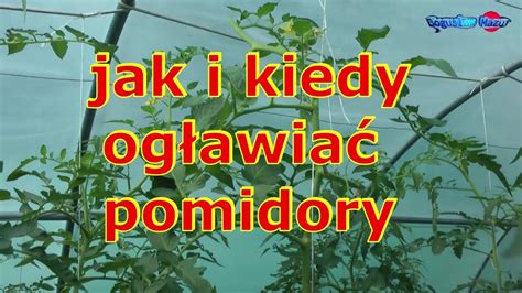 jak i kiedy ogławiać pomidory YouTube