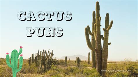 Funny Cactus Puns Jokes Garage