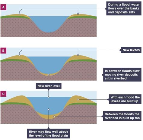 Floodplain Formation