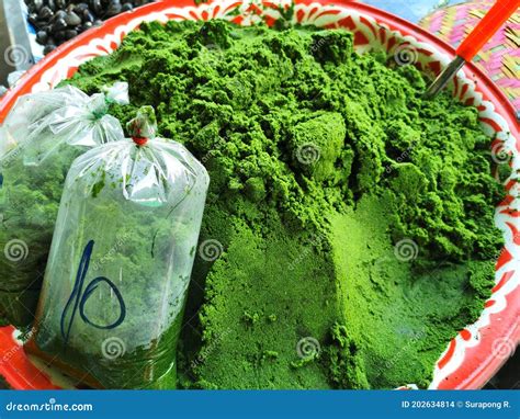 WaterMeal Wolffia stock photo. Image of green, aqutic - 202634814