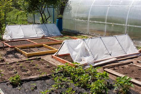 Kitchen Garden Design From Ox Magazine