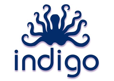 indigo logo – Central Stories Museum and Art Gallery