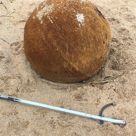 Mystery object washed up on the beach – Beach Guardian