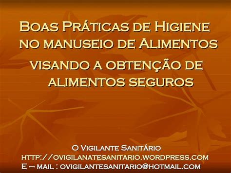 PDF Boas Práticas de Higiene no manuseio de Alimentos visando