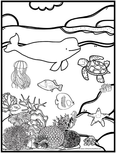 🐳 FREE Printable Ocean Coloring Pages