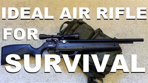 The Ideal Air Rifle For Survival Pcp With Built In Pump Youtube