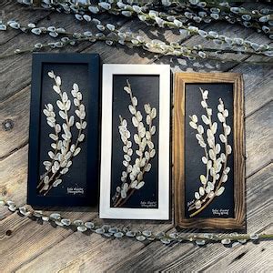 Real Pussy Willow Branches Framed Home Decor Pressed Botanical SIGNED ORIGINAL Wall Art Nature