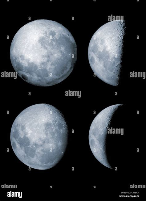 Expansión Contaminado Accesorios cuales son las 4 fases de la luna