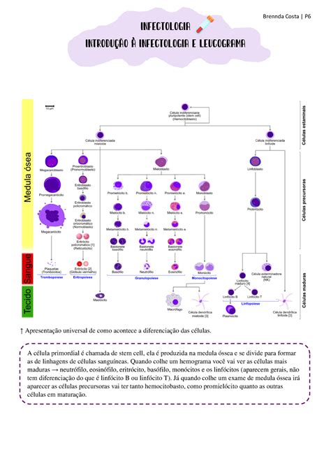 Introdu O A Infectologia E Leucograma Infectologia Introdu O