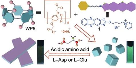 基于柱 5 芳烃分子识别的荧光纳米粒子检测水中L 天冬氨酸和L 谷氨酸 ChemistrySelect X MOL