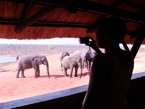 10 Things You Didn't Know About Zimbabwe's Hwange National Park