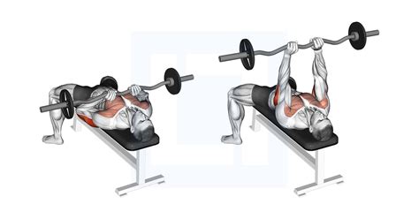 Ez Bar Close Grip Bench Press Guide Benefits And Form