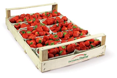 Reife Erdbeeren in Verpackungsschalen in einem Holzträger Gemüsebau