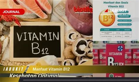 Temukan Jurnal Manfaat Vitamin B Rahasia Kesehatan Jarang Diketahui