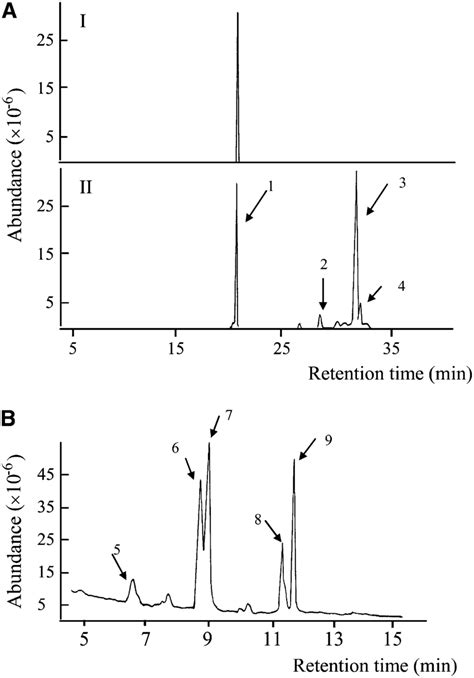 Analysis Of TMS Derivatives Of Sterols And Fatty Acids Of SE A GC