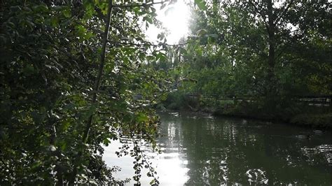 Parco Centenario Trezzano Sul Naviglio MI YouTube