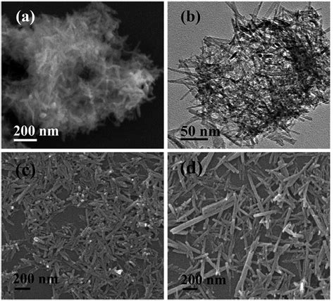 Fe SeM A C D And TeM B Micrographs Showing Morphologies Of