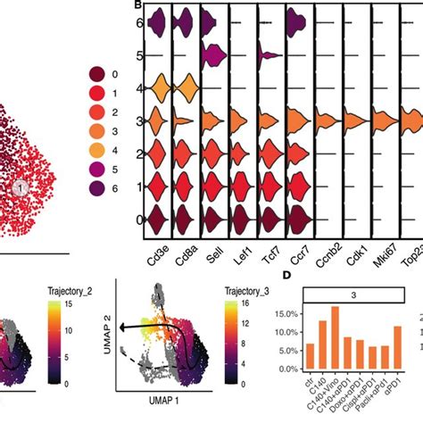 Macrophage Like Cell Sub Clustering Analysis In Emt6 A Umap Of