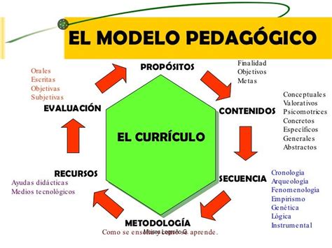 Modelo Pedagogico Tipos Hot Sex Picture