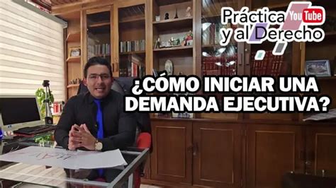 Demanda Ejecutiva De Alimentos Modelo Explicado Viltis