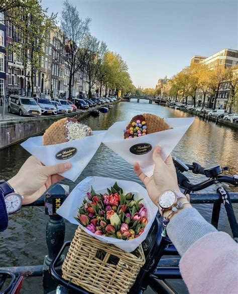 Best Day Trips From Amsterdam Tips For How To Visit Artofit