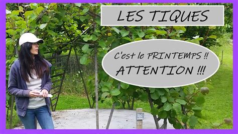 Printemps Au Jardin Attention Aux TIQUES YouTube