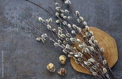 Happy Easter Holiday Template Quail Eggs And Pussy Willow Branches On Round Saw Cut Tree On