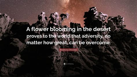 Matshona Dhliwayo Quote: “A flower blooming in the desert proves to the