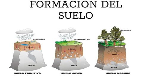 Meteorización formación y erosión de suelos PPT