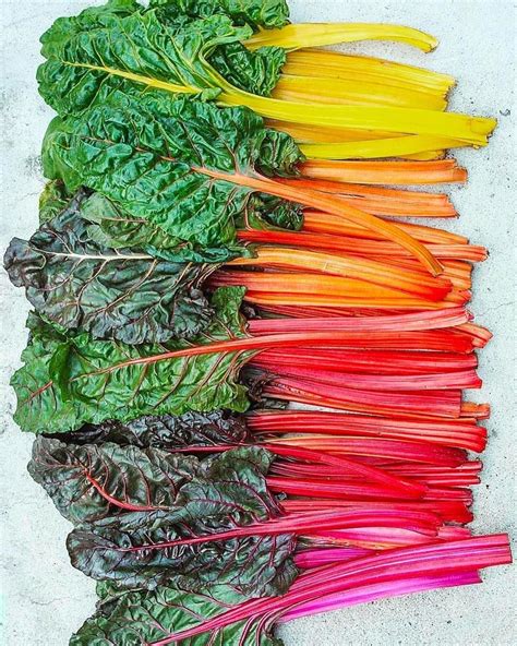 Taste The Rainbow Chard Did You Know These Colorful Greens Are