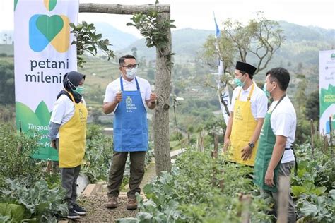 Ridwan Kamil Tanggapi Cuitan Viral Mengenai Petani Milenial Prfm News