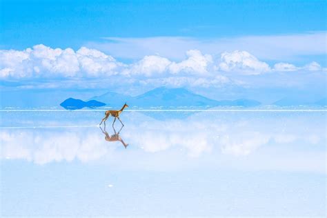 Salar De Uyuni Pustynia Solna Boliwia