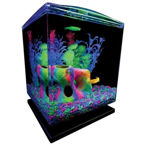 Best Glofish Tanks Reviews Gallon Aquarium Tanks