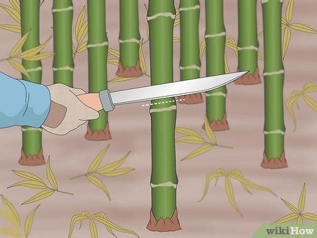 How To Cure Bamboo Steps With Pictures Wikihow