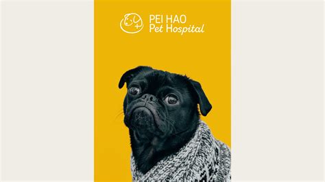 PET HOSPITAL LOGO on Behance