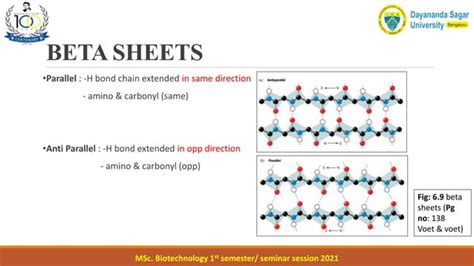 types of secondary structure and super secondary structure of protein | PPT