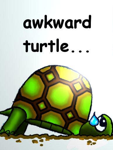 Awkward Turtle By Penguinluv4ever On Deviantart