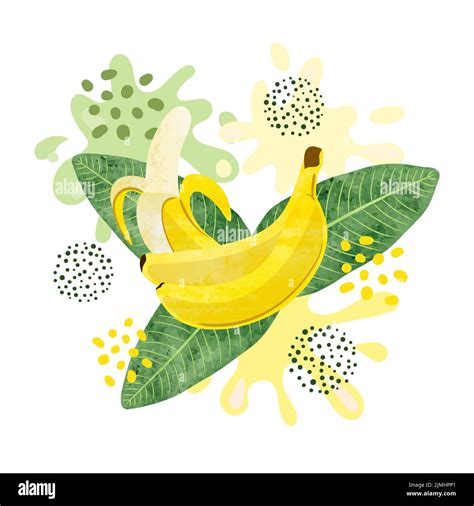 Watercolor Bananas Stock Vector Images Alamy