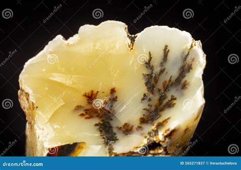 Dendritic Opal Opal On A Black Background Opal Is A Hydrated
