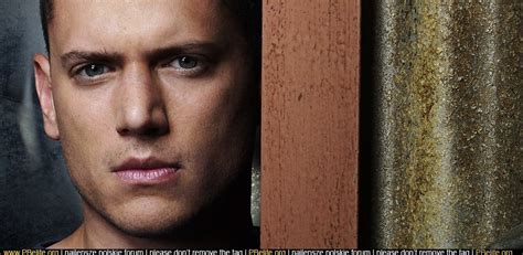 Michael Prison Break Photo 2210647 Fanpop