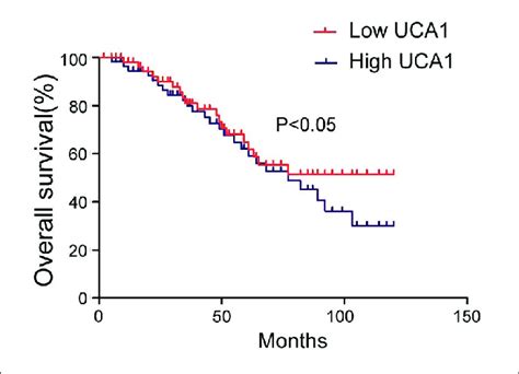 Lncrna Uca1 Expression And Os Curve Download Scientific Diagram