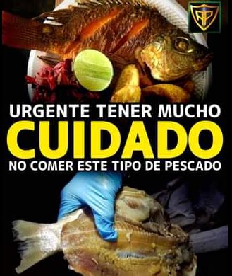 Urgente Tener Mucho Cuidado No Comer Este Tipo De Pescado