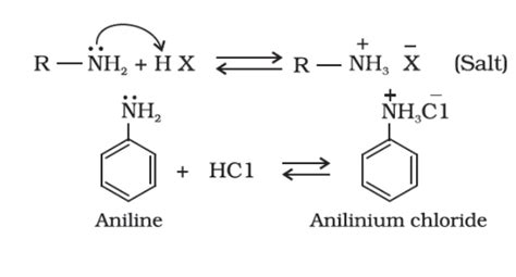 Chemical Reactions Of Amines | Acylation | Basicity | Chemistry | Byju's